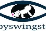 babyswingstore