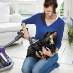 6 best vacuums for pet hair