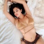 bulbul