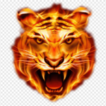 situs slot gacor 2022 maxwin