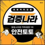 안전놀이터 검증나라