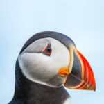 Link Alternatif Terbaru SBOBET