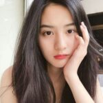 Những cây công trình cho bóng mát lớn ở đường phố