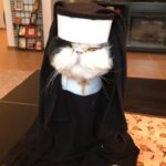 meowngaw889