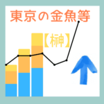 東京の金魚等【榊】
